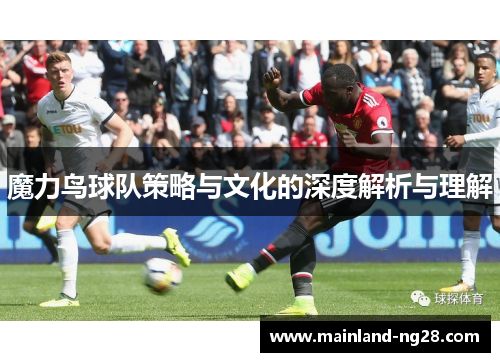 魔力鸟球队策略与文化的深度解析与理解