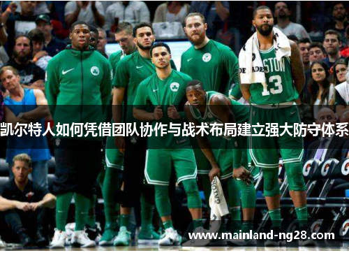 凯尔特人如何凭借团队协作与战术布局建立强大防守体系