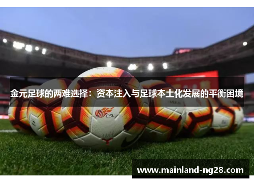 金元足球的两难选择：资本注入与足球本土化发展的平衡困境