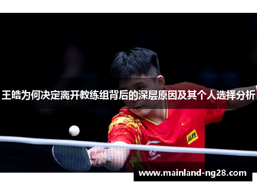 王皓为何决定离开教练组背后的深层原因及其个人选择分析